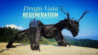 DRAGO VAIA REGENERATION |  Lavarone | Cinematic drone FPV | 4k | Crash