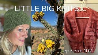 Episode 102 - Rusko Hat, Progress on the Mariposa, Knitting in New Mexico and 25K Winners!