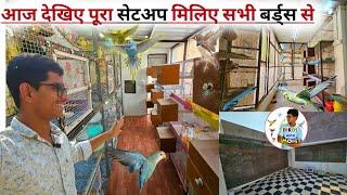 Complete View Of The Bikaner Mohit Pareek Bird Setup | आज देखिए मेरे सभी पक्षी और उनका खूबसूरत सेटअप