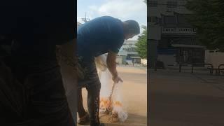 링투망 손줄 7~8m는 짧다 올 여름 해수욕장 해파리 걷어내고 대물말쥐치 잡으려면 5.5kg 링투망 줄도 10m 이상 되어야겠다 #바다투망 #대물말쥐치 #한국투망협회 #양손벌려치기