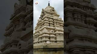 History of the Veerbhadra temple in Lepakshi #shorts