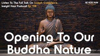 Buddhist Teacher Joseph Goldstein On Opening To Our Buddha Nature