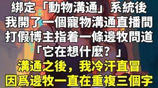 綁定「動物溝通」系統後，我開了一個寵物溝通直播間。打假博主指着一條邊牧問道：「它在想什麼？」溝通之後，我冷汗直冒。因爲邊牧一直在重複三個字。「殺了他！」