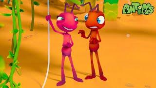 String The Ants Along | Antiks  | Action Cartoons For Kids