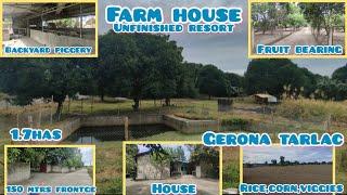 lot476 farm house unfinished resort  w/ mango trees & lots of fruit bearing trees. 1.7has 20M all in