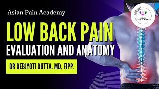 Low Back Pain Evaluation with Anatomy | Dr Debjyoti Dutta | Asian Pain Academy | Pain Management