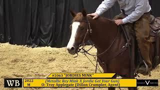 1 MILLION DOLLAR BID FOR JORDIES MINK 2024 WESTERN BLOODSTOCK NCHA FUTURITY 2YO SALE