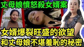 解密檔案——女婿案！龍年大吉~