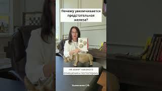 Почему увеличивается предстательная железа?