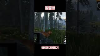 집중!! #게임 #게임일기 #더헌터 #Thehunter #TheHunterCallOfTheWild @해자몽
