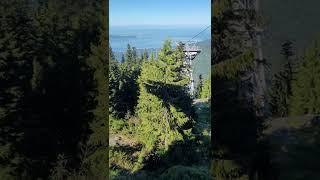 view from the lodge at Grouse mtn