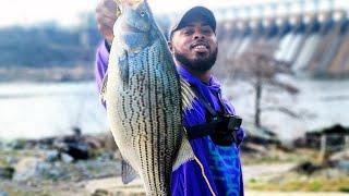 Lake Jordan Dam Fishing in Alabama #CoosaRiver #striperfishing #2021