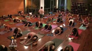 Yin Yoga FULL Class with Travis Eliot, Courtesy of Bighead Marketing Online.