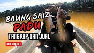 BUBU IKAN BAUNG.TANGKAP DAN JUAL (RE-UPLOAD) #vlog138 #unlimitedhobby #unlimitedfishing