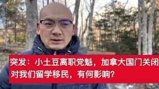 小土豆离职党魁，加拿大国门关闭，对我们留学移民有何影响