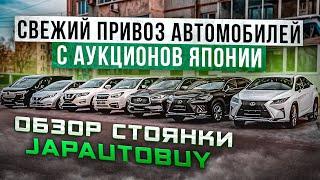 НОВЫЙ ПРИВОЗ АВТОМОБИЛЕЙ С АУКЦИОНОВ ЯПОНИИ | ОБЗОР СТОЯНКИ JAPAUTOBUY