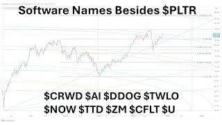 Software Stocks Besides $PLTR: $CRWD $AI $DDOG $TWLO $NOW $TTD $ZM $CFLT $U