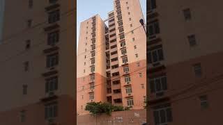 DDA FLATS JASOLA | Born To Eat | #shorts #flats #dda #like #subscribe #share