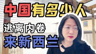 中国有多少人逃离内卷来到新西兰？