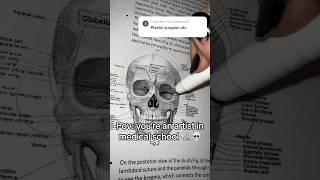 Pov: you’re an artist in medical school 🩺 #creative #artist #medicalstudent