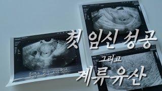 시험관 1차 성공ෆ 최고로 행복했던 일주일 그리고 6주 계류유산 진단을 받았어요 l 아기집 안에 난황도 아기도 보이질 않아요 l 소파술 결정 l 다시만나자 콩떡아 l 난임브이로그