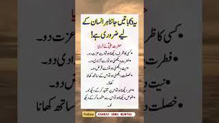 Best Urdu Quotes Hazrat Ali | Deep lines #shorts #urduquotes