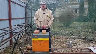  Совсем короткий, но важный совет на апрель 2025. Видео по пчеловодству для начинающих 