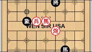 Xiangqi (Chinese Chess) 《精明一点》 温蛇作品