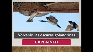 Volverán las oscuras golondrinas Explained