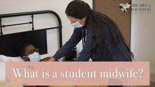 What does a Student Midwife do?