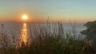 Beautiful Piano Music, Relaxing Music for Studying, Relaxation, Peaceful, Soothing Sleep Music, Zen