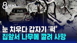 47.5cm 쌓인 용인…눈 치우던 60대, 나무에 깔려 사망 / SBS 8뉴스