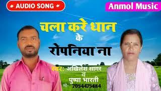 चला करे धान के रोपानिया ना// New Bhojpuri song // Akhilesh sagar