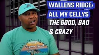 MY WALLENS RIDGE CELLYS ! THE GOOD BAD & CRAZY (series part 3)