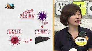 알로에의 황산화 기능을 눈으로 볼 수 있는 실험! ⊙o⊙  | 나는 몸신이다 195회