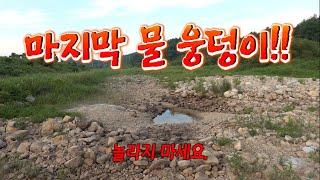 한여름!! 개울물이 증발했다 모든 물고기 마지막 웅덩이로 모인다!!/a rescue operation for freshwater fish.