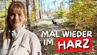 Ist DAS wirklich DeutschlandZum ersten Mal am neu eröffneten  HEXENTANZPLATZ ️ Harz