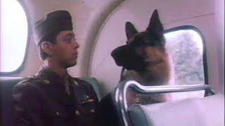 Chips, the War Dog (1990) TV Movie