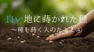 「良い土地に落ちた種〜種を蒔く人のたとえ④」マタイの福音書 13章8〜9節, 23節　【チャプター・多言語字幕つき】2024年2月11日　聖日礼拝