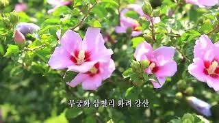 애국가1절