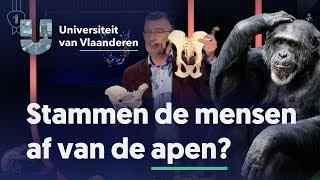 Stammen de mensen af van de apen?