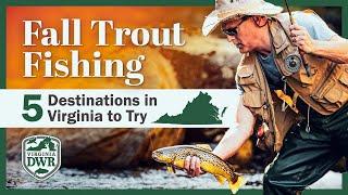 Where to Go Trout Fishing in Virginia