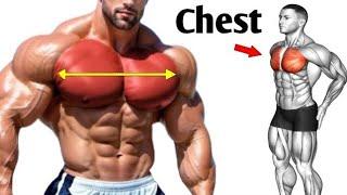 Dumbbell Chest Exercises | Chest Workouts | Massive Gains