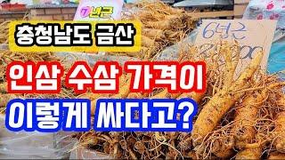 금산 인삼 시장 / 6년근 인삼 / 몸보신에 최고 / 구경만해도 건강해지는 / 저렴한 가격 / 볼거리 먹을거리 가득한곳 / 수삼 참 좋다