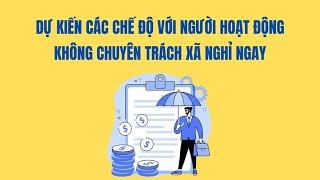 Dự kiến các chế độ với người hoạt động không chuyên trách xã nghỉ ngay | Báo Lao Động