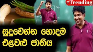 සුදු වෙන්න හොදම එලවලු ජාතිය | Dinesh Muthugala | Episode 144