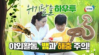 야외활동 시 꼭 주의해야 할 뱀, 벌, 야생진드기ㅣ위기탈출 하우투ㅣ안전교육 영상