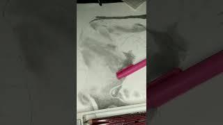 I am making a drowing for cow short video part  5