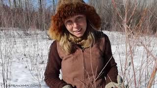 Coppicing Willows for Basketry with Callie Russell