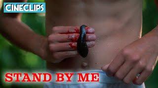 Leeches! | Stand By Me | CineStream